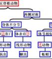 植物的輸導組織有什么作用