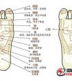 失眠易醒怎么辦？常按這5個(gè)穴位，助你快速進(jìn)入深度睡眠