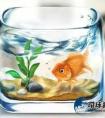 魚(yú)缸可以送人嗎