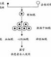 滲透壓是什么？