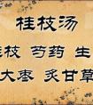 小建中湯與桂枝湯在立法、組成及功用、主治方面有何異同？