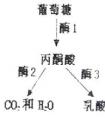 胞質(zhì)是什么啊，是不是細(xì)胞質(zhì)