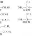 2分鐘告訴你蛋白質(zhì)、氨基酸、肽的區(qū)別……