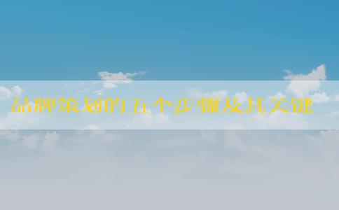 品牌策劃的五個(gè)步驟及其關(guān)鍵要素（包括品牌建設(shè)、品牌打造方法、**和差異化）