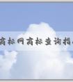 中國(guó)商標(biāo)網(wǎng)商標(biāo)查詢指南：注意事項(xiàng)、方法與功能