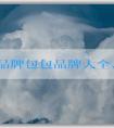 法國(guó)品牌包包品牌大全、流行趨勢(shì)及選購(gòu)攻略