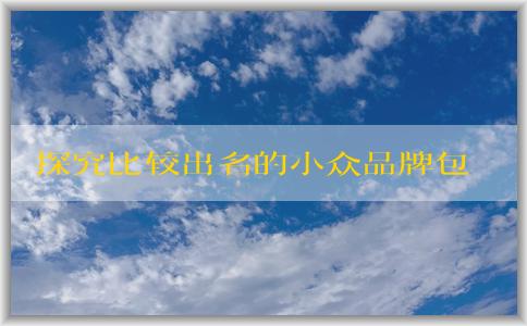 探究比較出名的小眾品牌包包的設(shè)計(jì)特點(diǎn)、質(zhì)量優(yōu)劣及備受追捧的原因