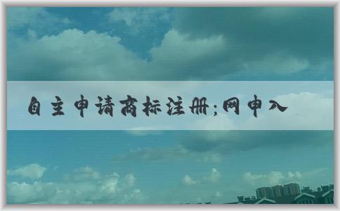 自主申請商標(biāo)注冊：網(wǎng)申入口、申請流程、查詢與編寫技巧