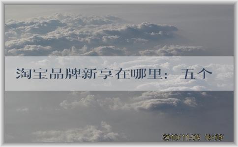 淘寶品牌新享在哪里：五個維度問題、商業(yè)價值、品牌建設及新品牌介紹